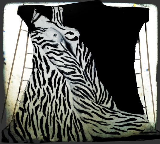 The Stolen Piece of Art